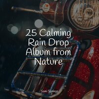 Rainforest Nature Ambience - Kings of Nature & Zarobi & Relaxing Mindfulness Meditation Relaxation Maestro