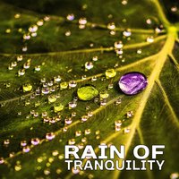 Yoga on the Rain - Healing Rain Sound Academy