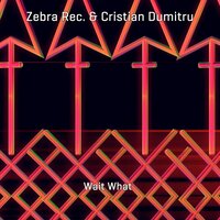 Wake Up to Reality - Zebra Rec. & Cristian Dumitru