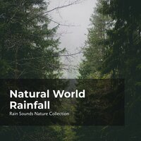 Nature Rainy Season - ASMR Rain Sounds & Rain Sounds Nature Collection & Sleepy Rain