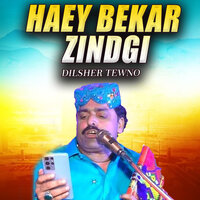 Haey Bekar Zindgi - Dilsher Tewno