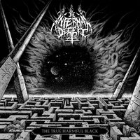 Until the Flesh Is Gone - The Infernal Deceit