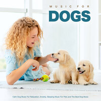 Calm Dog Music For Relaxation - Dog Music & Sleeping Music For Dogs & Dog Music Experience