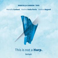 Il piccolo principe - Marcella Carboni