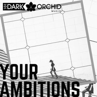 Evolution Of Trust - 101 Dark Orchid Music