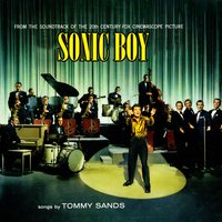 12 Sing Boy Sing.wav - Tommy Sands
