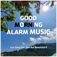 Good morning alarm Wake up call (forest & rain sound song music) - ASMR