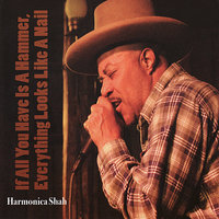 I Wonder Why? - Harmonica Shah