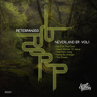 The Dream - PeterPan303