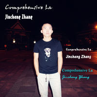 Excuse I Love You La - Jincheng Zhang