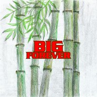 Big Forever - Pino Riccio