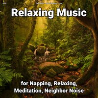 Relaxing Music Pt. 51 - Calm music & Relaxing music & Yoga