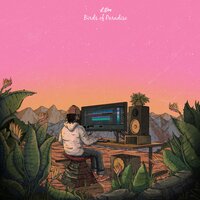 Ginger Beer - L.Dre