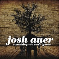 I'll Be Fine - Josh Auer
