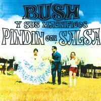 Palomita Titibu - Bush y Sus Magnificos