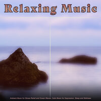 Healing and Wellness Music - Stress Relief Experience & Calm Music Guru & Relaxing music