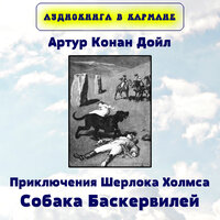 Глава III. Задача - Аудиокнига в кармане