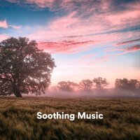 Centuries - Amazing Spa Music & Spa Music Relaxation & Spa Music & Meditation Collective