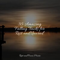 Winds of Grace - Musica Reiki & Shakuhachi Sakano & Mindfulness Meditation Universe