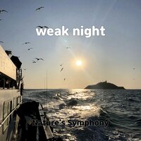 used sleep - Nature's Symphony