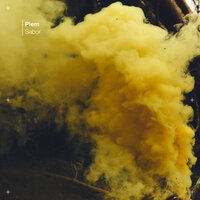 Get Involved - Piem