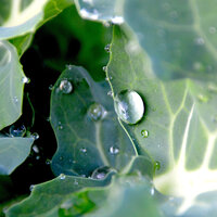 Watching Rains - Life Sounds Nature & Meditation Zen & Rain Sounds & White Noise