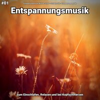Entspannungsmusik pt. 72 - Entspannungsmusik Nicklas Schul & Schlafmusik & Entspannungsmusik