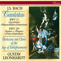 J.S. Bach: Lobet Gott in seinen Reichen, BWV 11  (Ascension Oratorio) - 3. Rezitativ: "Ach, Jesu, ist dein Abschied schon so nah?" - David Wilson-Johnson & Orchestra Of The Age Of Enlightenment & Gustav Leonhardt & Johann Sebastian Bach