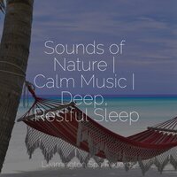 Serenity Waves - Sleepy Times & Calming Sounds & Sound Sleeping