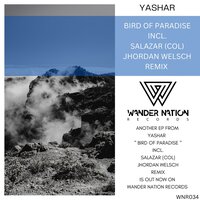 Bird of Paradise - Yashar