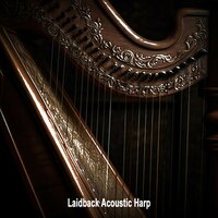Grateful to Be in the Moment - Relaxing Harp Music