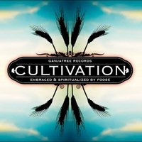 Illusions - Sonic Elysium