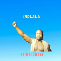 Zibuyile Emasisweni - Nsimbi Zwane