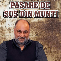PASARE DE SUS DIN MUNTI - SORIN NECUNOSCUTU