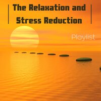 Increase Brain Power - Stress Relief Collection