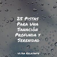Humor Enfocado - Sonidos de la Naturaleza Relax & Musica para Meditar Especialistas & Canciones de Cuna Relax