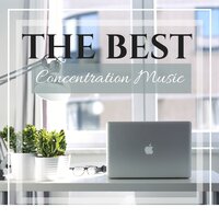 Relaxing Piano Song with Forest Sounds of Nature - Calm Study & Relaxation Study Music & Relaxation Study Music & Calm Study