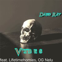 Vibes - David Ray & OG Nelu & Lifetimehomies