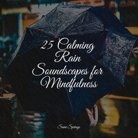 Lofi Rain - meditacou musica ambiente & Rain Sound Studio & Ruído branco