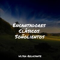 Fresco - Relajar & Musica Relaxante & Massagem Guru