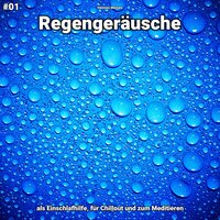 Regengeräusche, pt. 70 - Hennes Meines
