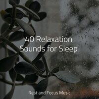 Serenity Springs - Baby Sleep & Kings of Nature & Regengeräusche