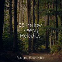 Comfortable and Contented - Sleep Waves & Yoga Namaste & Meditation Music Club