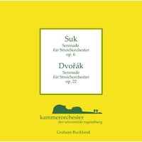 Serenade, op. 22: Finale - Allegro vivace - Graham Buckland & Kammerorchester der Universität Regensburg