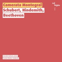 Theme - Camerata Montegral & Davide Cabassi & Gustav Kuhn & Пауль Хиндемит