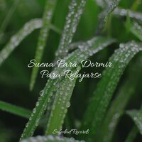 Tierra Dormida - Sonidos de lluvia para dormir & Música para Massagem Especialistas & Musica Relajante Para Estudiar