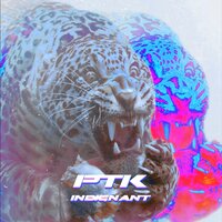 Steady Hand - PTK