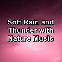Rain Sounds and Thunder To Help with Insomnia with Sleeping Music - The Rain Library & Heavy Rain Sounds & Rain Storm Sounds