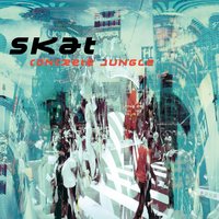 Nightwalk - SKAT