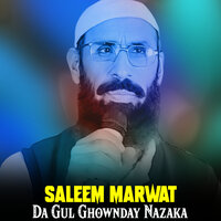 Werta Waya Jana - Saleem Marwat